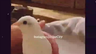 وقتی مامانت صدات میزنه :