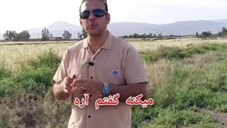 پول مهمتره یا شخصیت؟