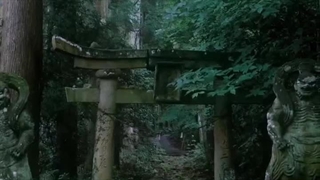 If you did, what anime?↻綠色的