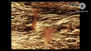 Ruins and Alien base found on dark side of the moon reloaded low pitch