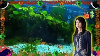 竹内まりやのオールナイトニッポンGOLD 2024.10.25 出演者 - 竹内まりや アシスタント - 上柳昌彦 ゲスト  ミッツ マングローブ