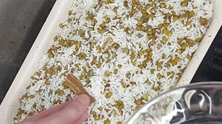 طرز تهیه عدس پلو با گوشت چرخ کرده