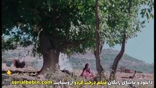 دانلود رایگان فیلم درخت گردو | پیمان معادی و مهران مدیری